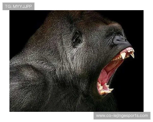 以足球场上奔跑如猩猩般威猛的球星为主角展现速度与力量的完美结合