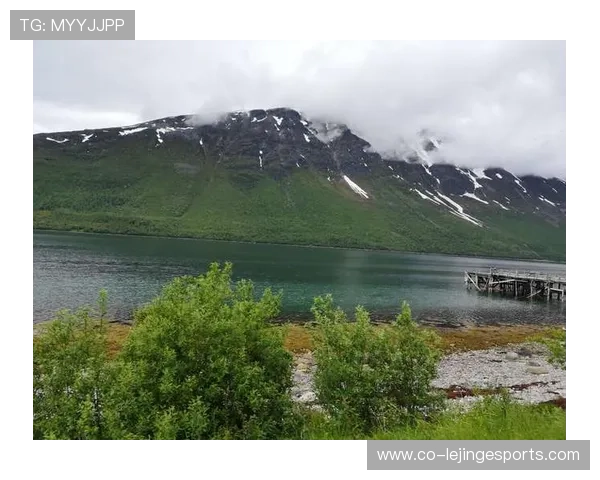 北欧足球新星崛起：聚焦斯堪的纳维亚球员在欧洲足坛的影响力